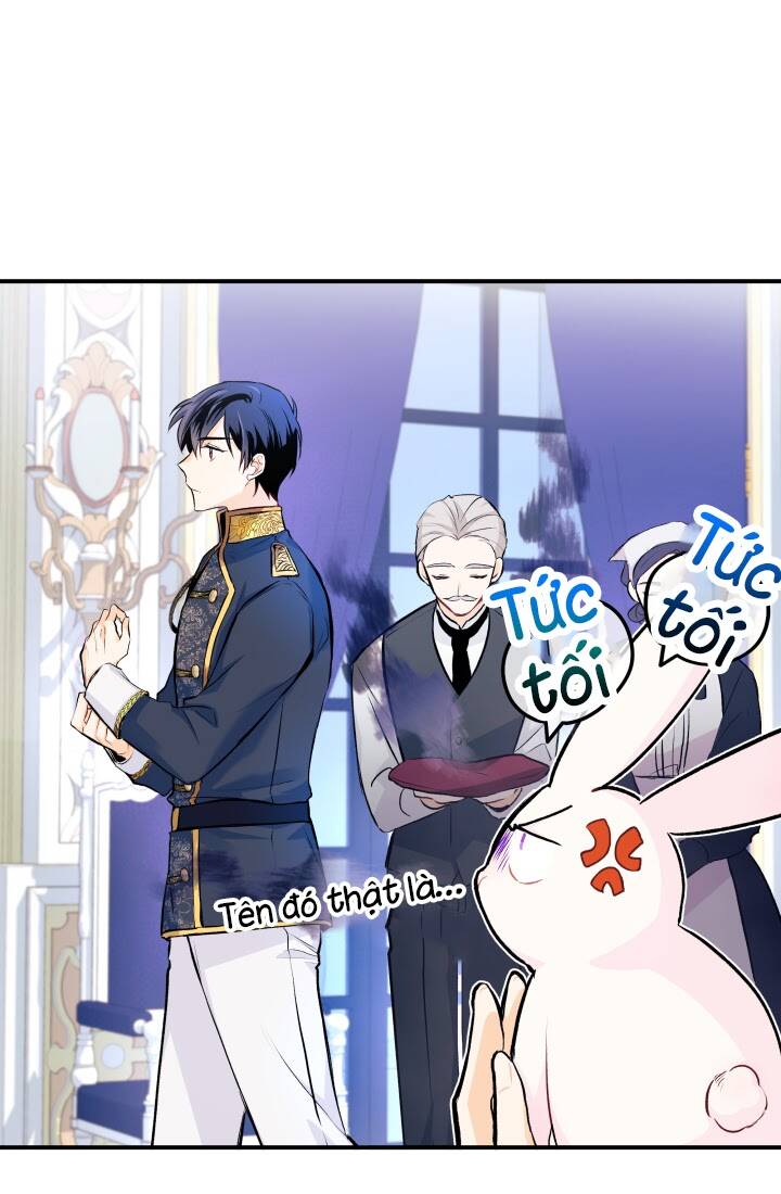 Mối Liên Kết Giữa Báo Đen Và Bé Thỏ Chap 3 - Next Chap 4