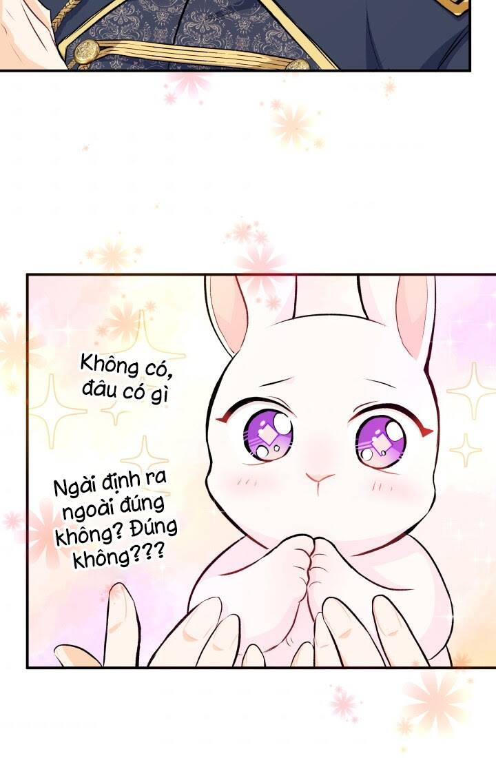 Mối Liên Kết Giữa Báo Đen Và Bé Thỏ Chap 3 - Next Chap 4