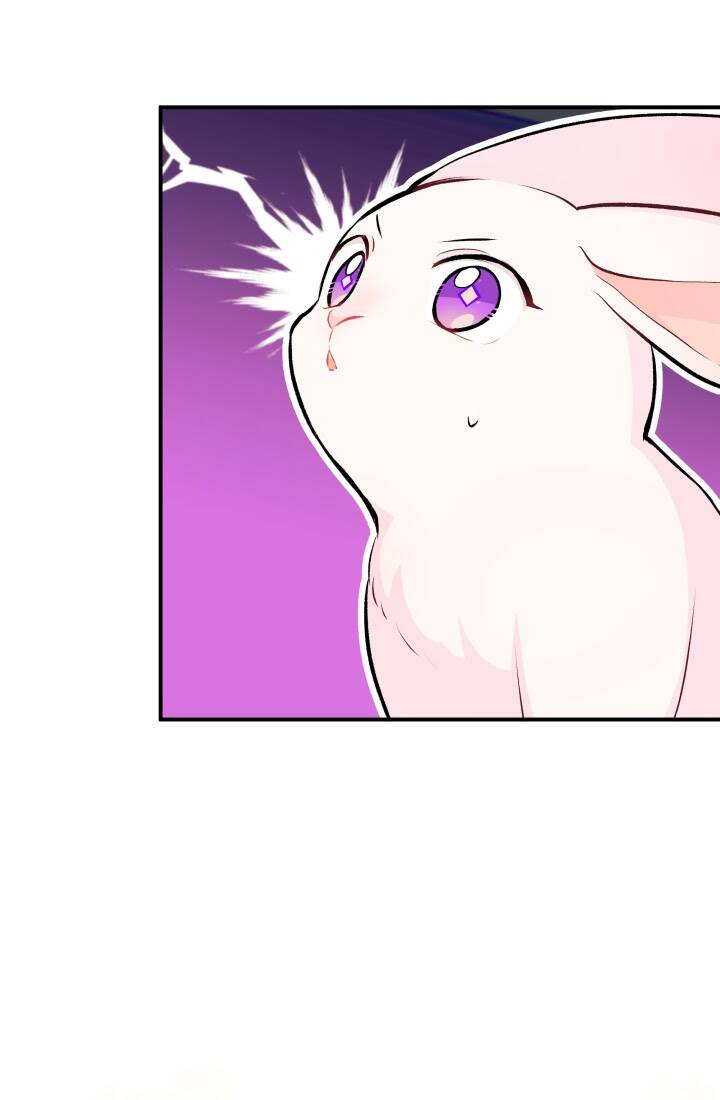 Mối Liên Kết Giữa Báo Đen Và Bé Thỏ Chap 3 - Next Chap 4