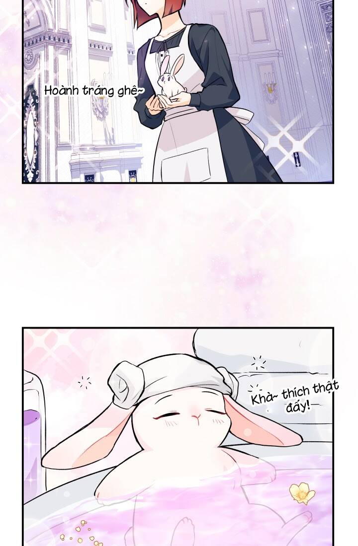 Mối Liên Kết Giữa Báo Đen Và Bé Thỏ Chap 3 - Next Chap 4