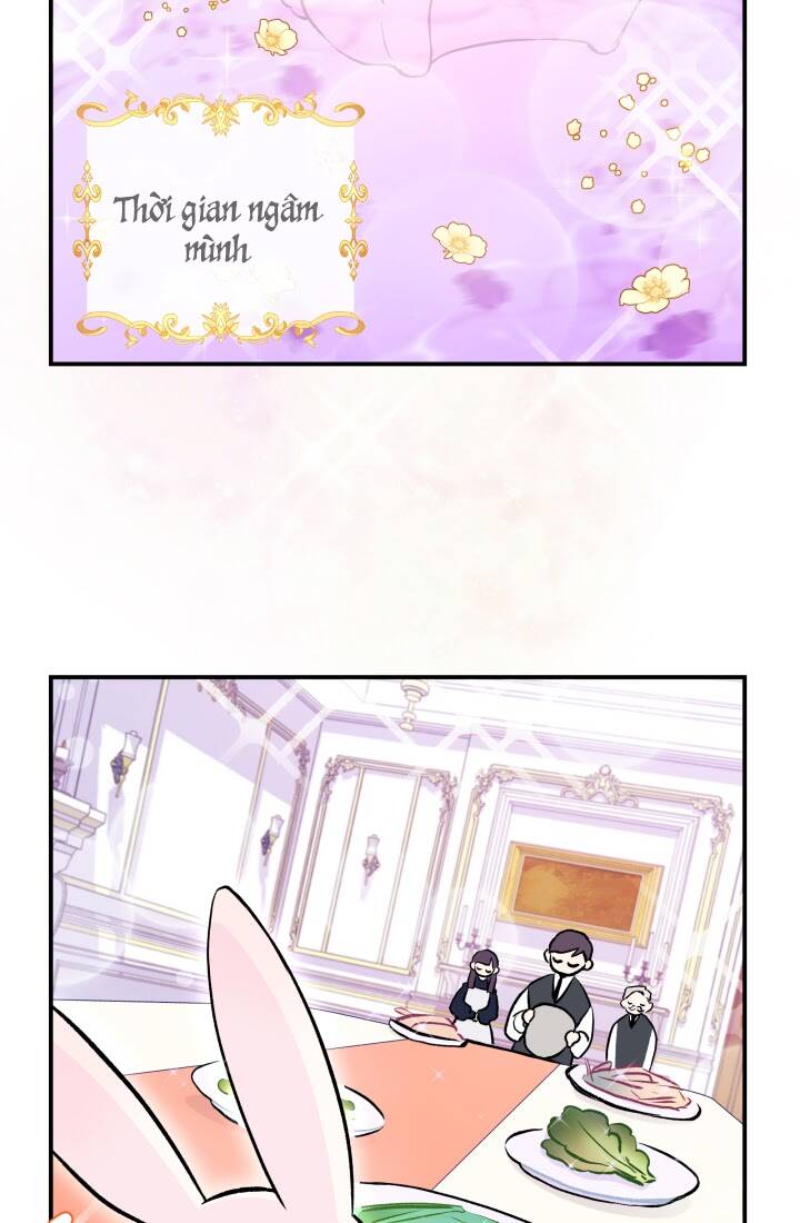 Mối Liên Kết Giữa Báo Đen Và Bé Thỏ Chap 3 - Next Chap 4