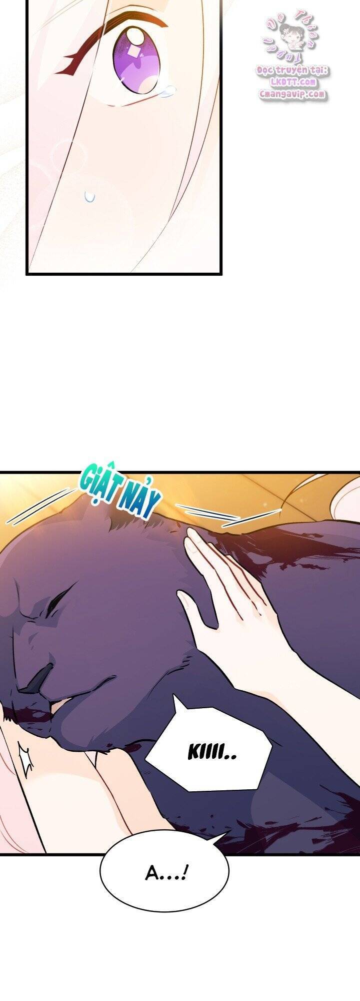 Mối Liên Kết Giữa Báo Đen Và Bé Thỏ Chap 30 - Next Chap 31