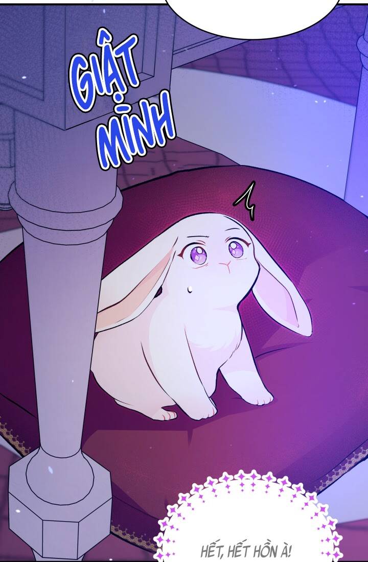 Mối Liên Kết Giữa Báo Đen Và Bé Thỏ Chap 4 - Next Chap 5