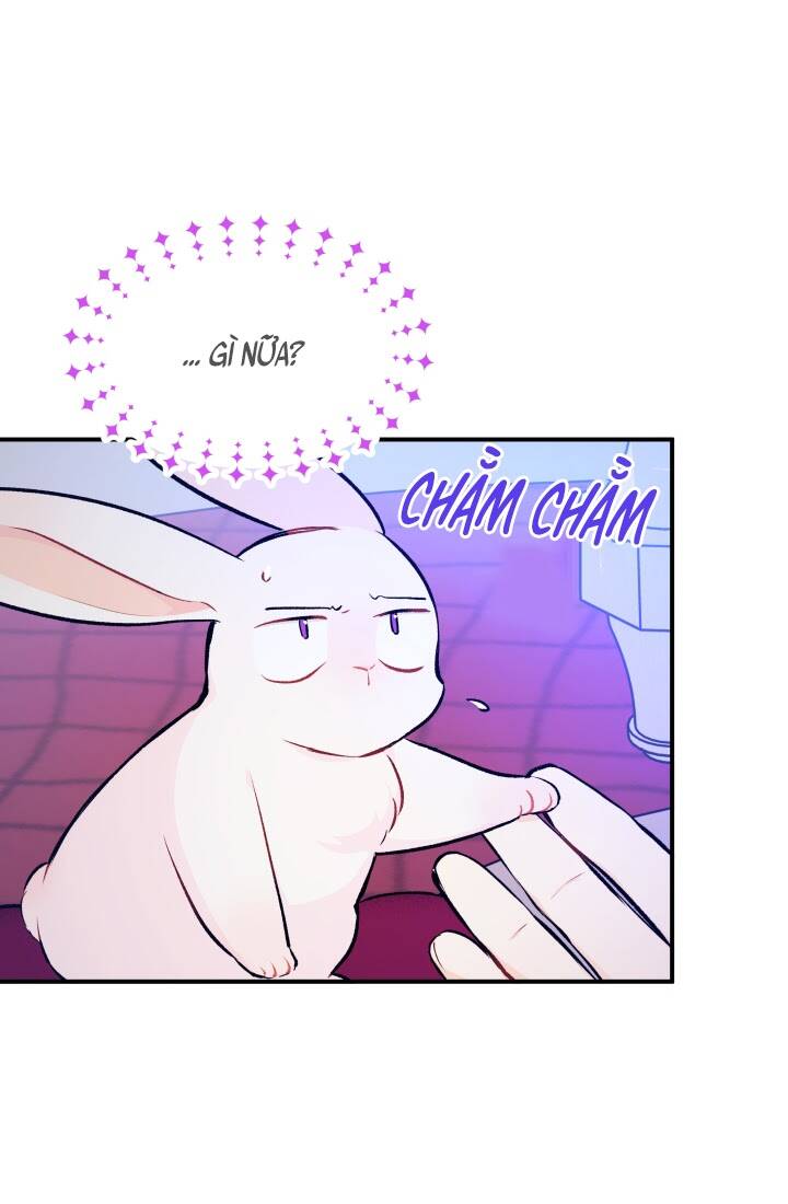 Mối Liên Kết Giữa Báo Đen Và Bé Thỏ Chap 4 - Next Chap 5