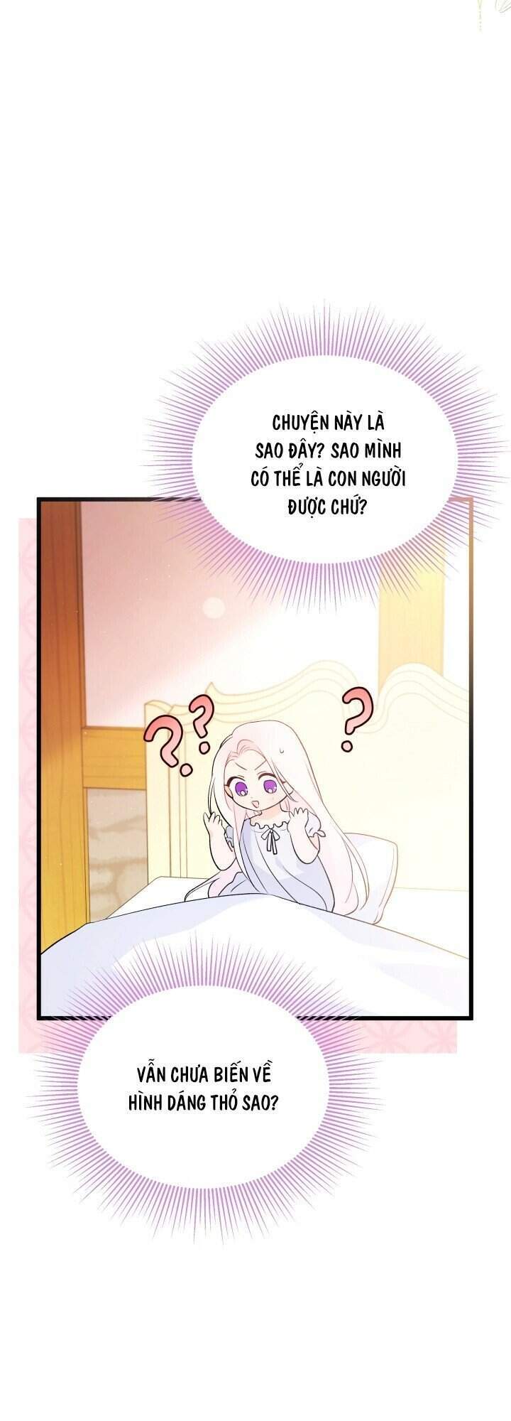 Mối Liên Kết Giữa Báo Đen Và Bé Thỏ Chap 41 - Next Chap 42