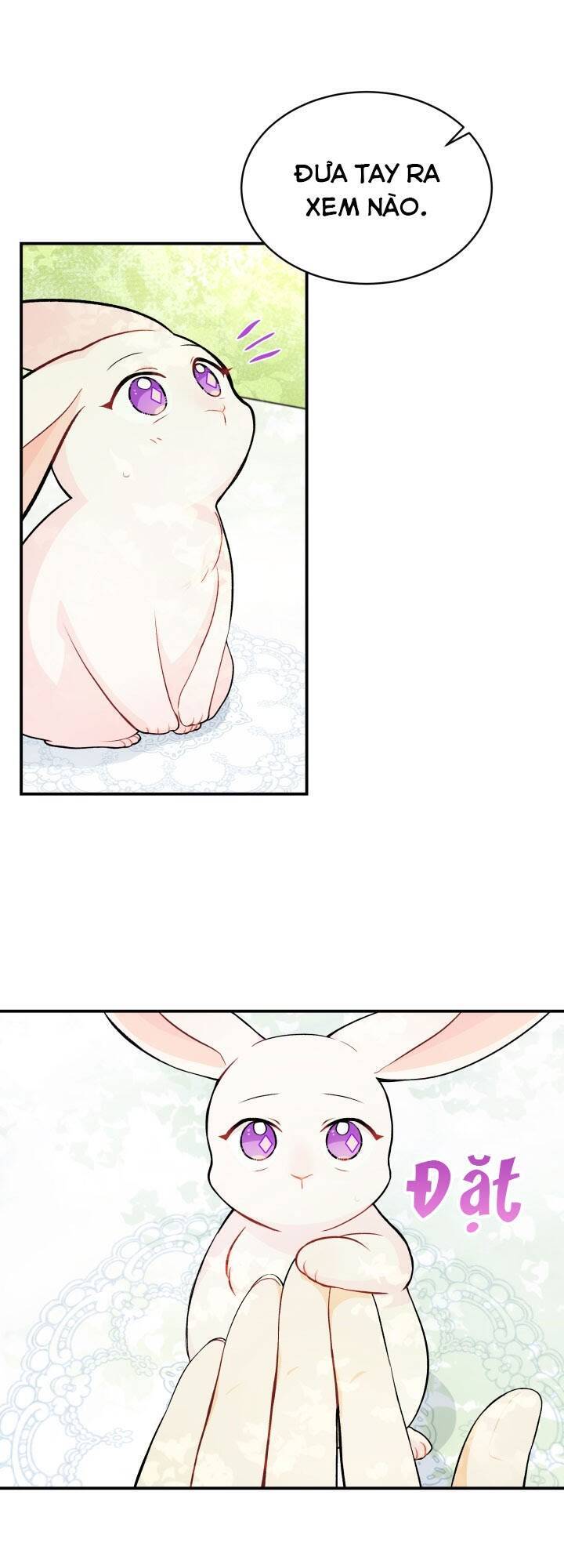 Mối Liên Kết Giữa Báo Đen Và Bé Thỏ Chap 5 - Next Chap 6