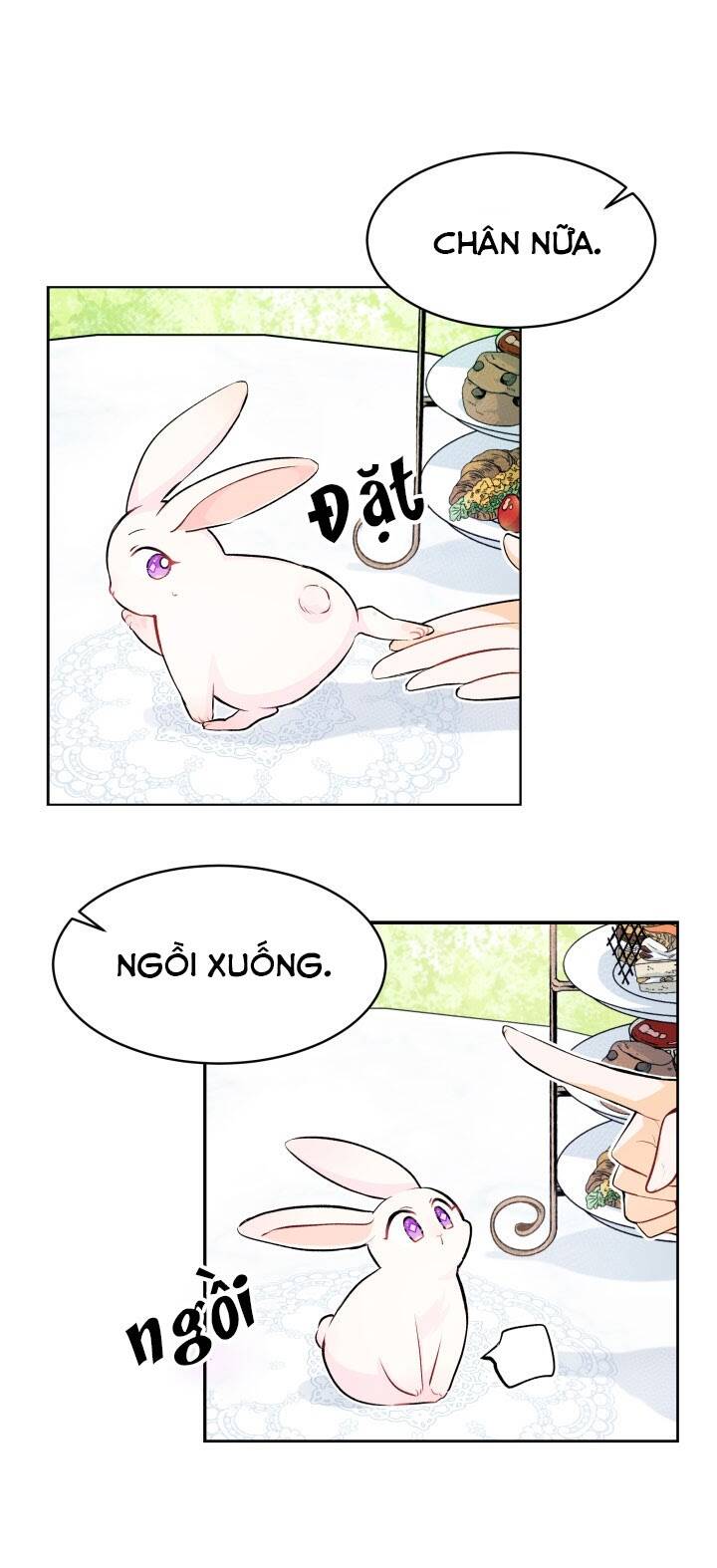 Mối Liên Kết Giữa Báo Đen Và Bé Thỏ Chap 5 - Next Chap 6
