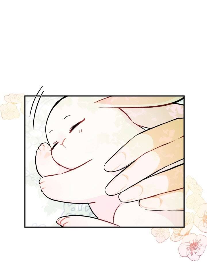 Mối Liên Kết Giữa Báo Đen Và Bé Thỏ Chap 5 - Next Chap 6