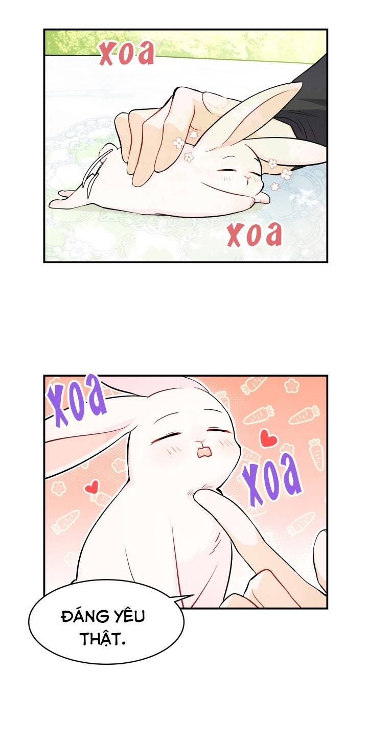 Mối Liên Kết Giữa Báo Đen Và Bé Thỏ Chap 5 - Next Chap 6