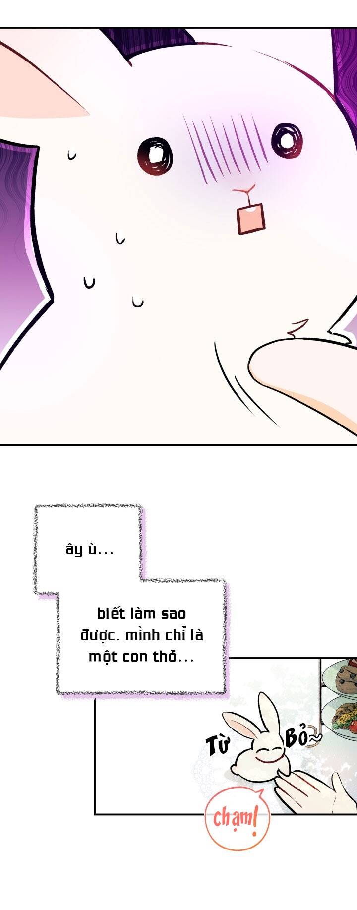 Mối Liên Kết Giữa Báo Đen Và Bé Thỏ Chap 5 - Next Chap 6