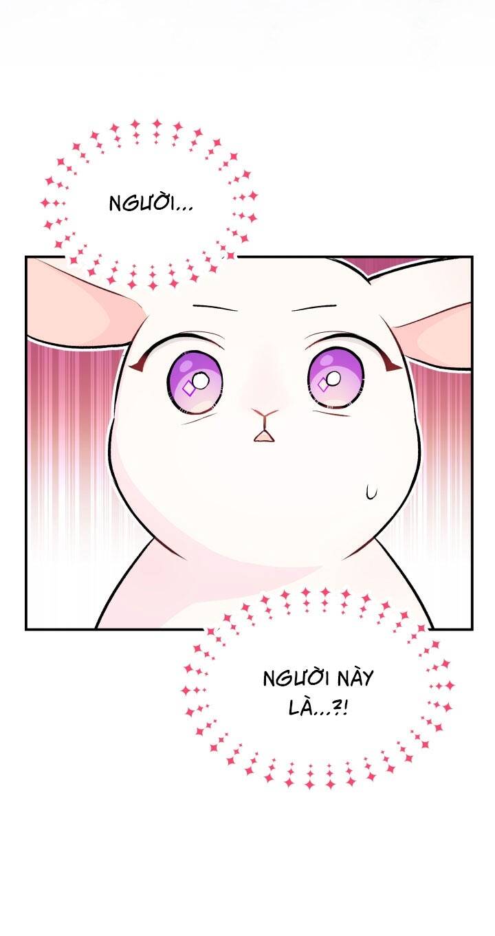 Mối Liên Kết Giữa Báo Đen Và Bé Thỏ Chap 5 - Next Chap 6