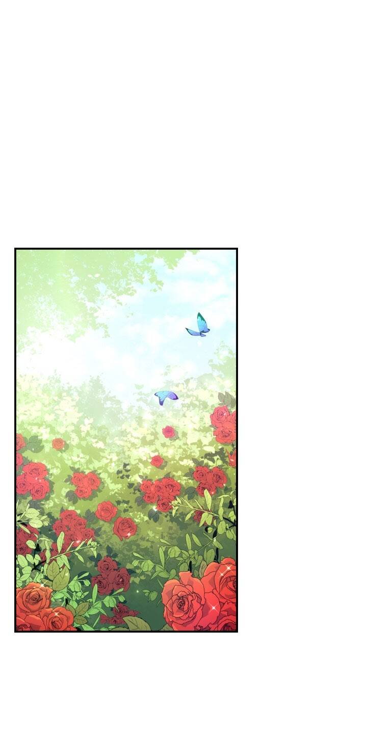 Mối Liên Kết Giữa Báo Đen Và Bé Thỏ Chap 5 - Next Chap 6