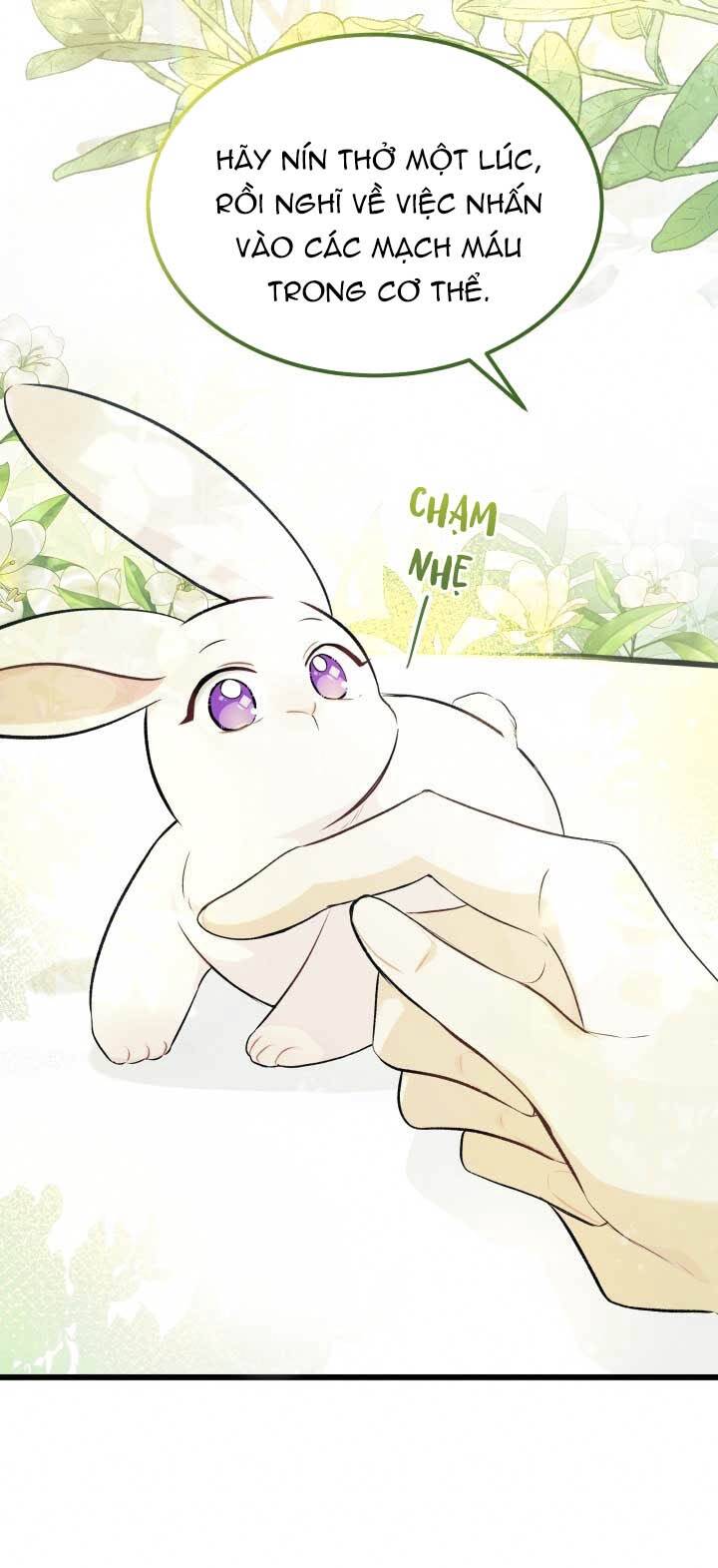 Mối Liên Kết Giữa Báo Đen Và Bé Thỏ Chap 6 - Next Chap 7