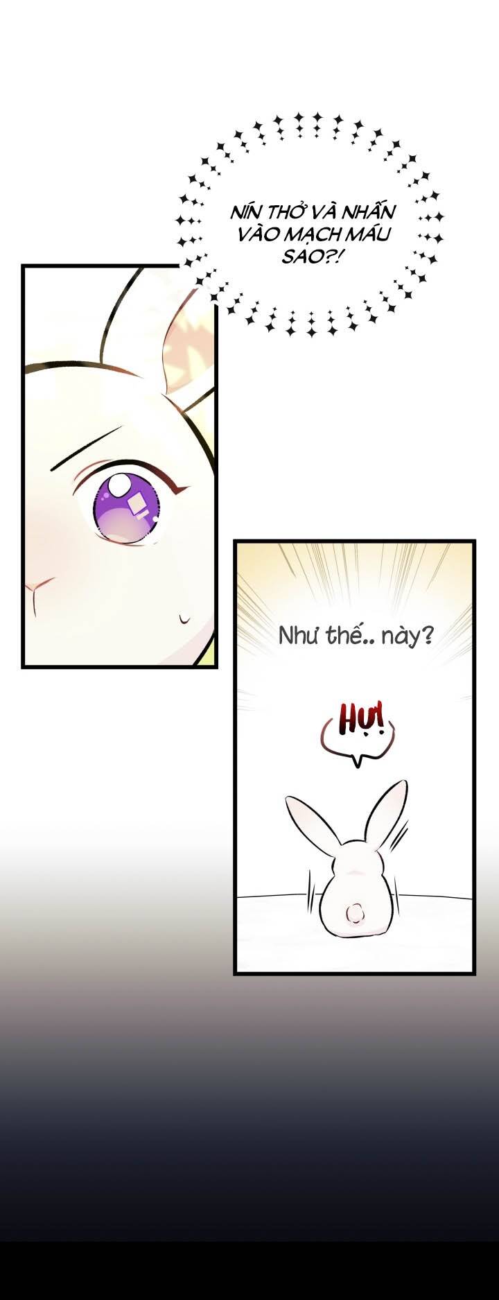 Mối Liên Kết Giữa Báo Đen Và Bé Thỏ Chap 6 - Next Chap 7