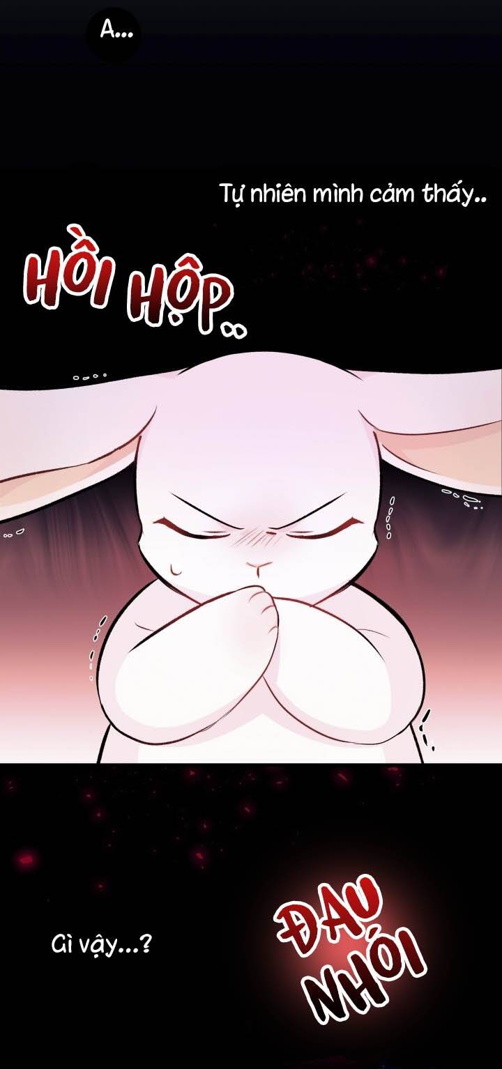 Mối Liên Kết Giữa Báo Đen Và Bé Thỏ Chap 6 - Next Chap 7