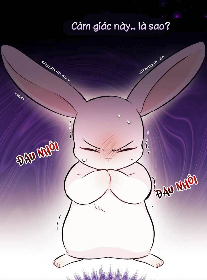 Mối Liên Kết Giữa Báo Đen Và Bé Thỏ Chap 6 - Next Chap 7