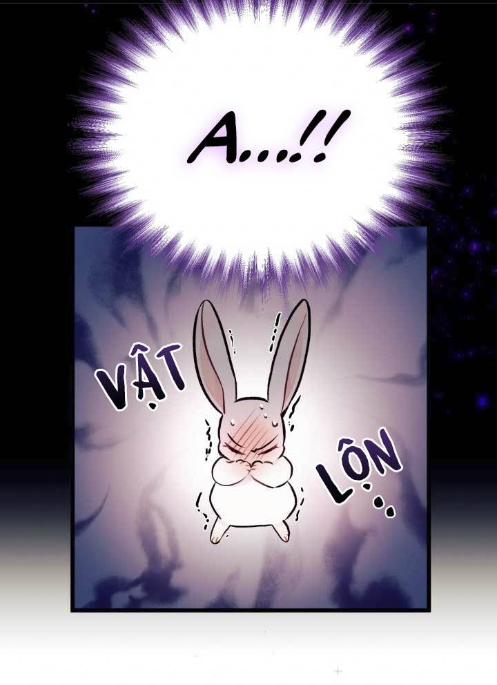 Mối Liên Kết Giữa Báo Đen Và Bé Thỏ Chap 6 - Next Chap 7