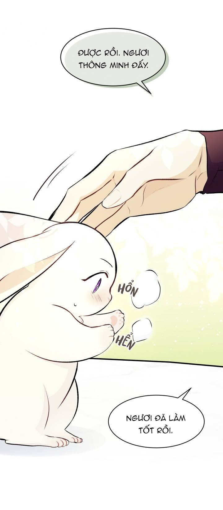 Mối Liên Kết Giữa Báo Đen Và Bé Thỏ Chap 6 - Next Chap 7