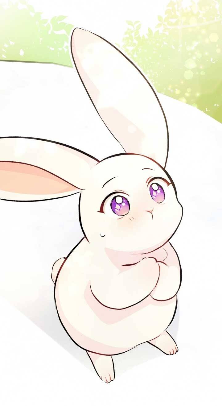 Mối Liên Kết Giữa Báo Đen Và Bé Thỏ Chap 6 - Next Chap 7