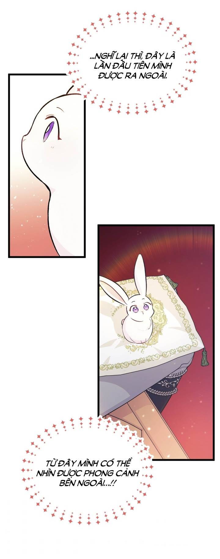 Mối Liên Kết Giữa Báo Đen Và Bé Thỏ Chap 6 - Next Chap 7