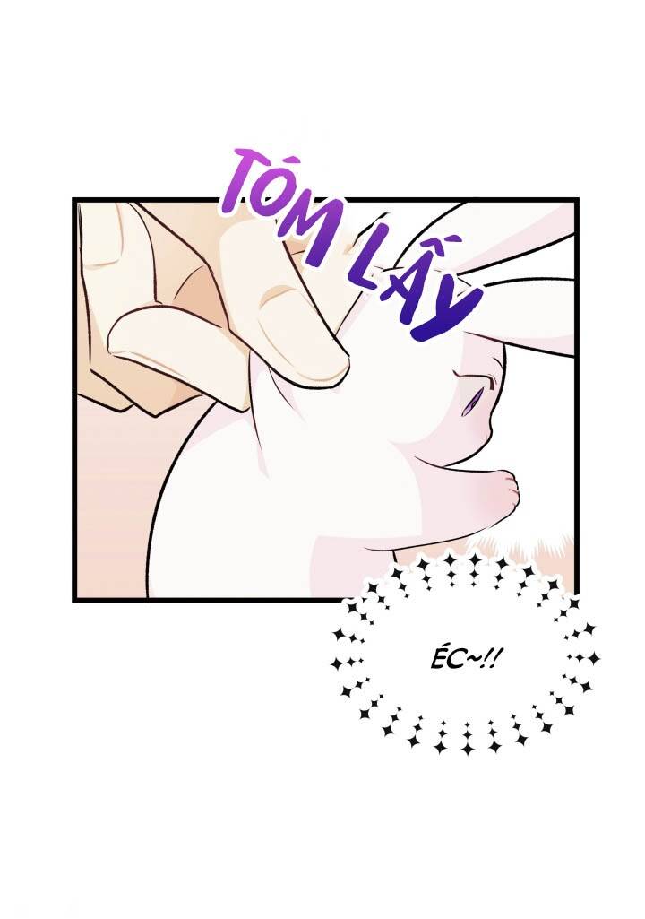 Mối Liên Kết Giữa Báo Đen Và Bé Thỏ Chap 6 - Next Chap 7