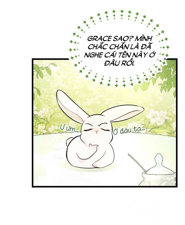 Mối Liên Kết Giữa Báo Đen Và Bé Thỏ Chap 6 - Next Chap 7