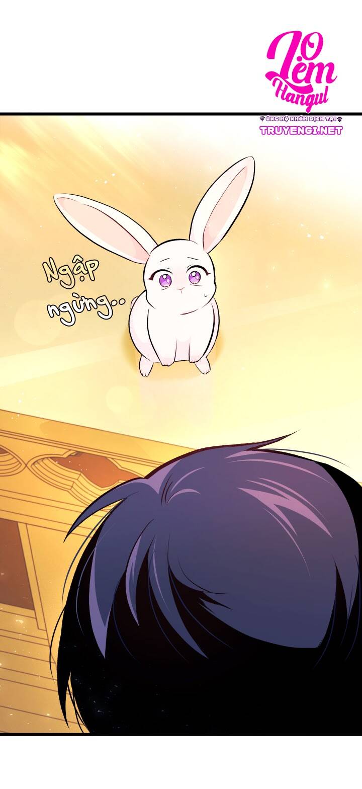 Mối Liên Kết Giữa Báo Đen Và Bé Thỏ Chap 7 - Next Chap 8