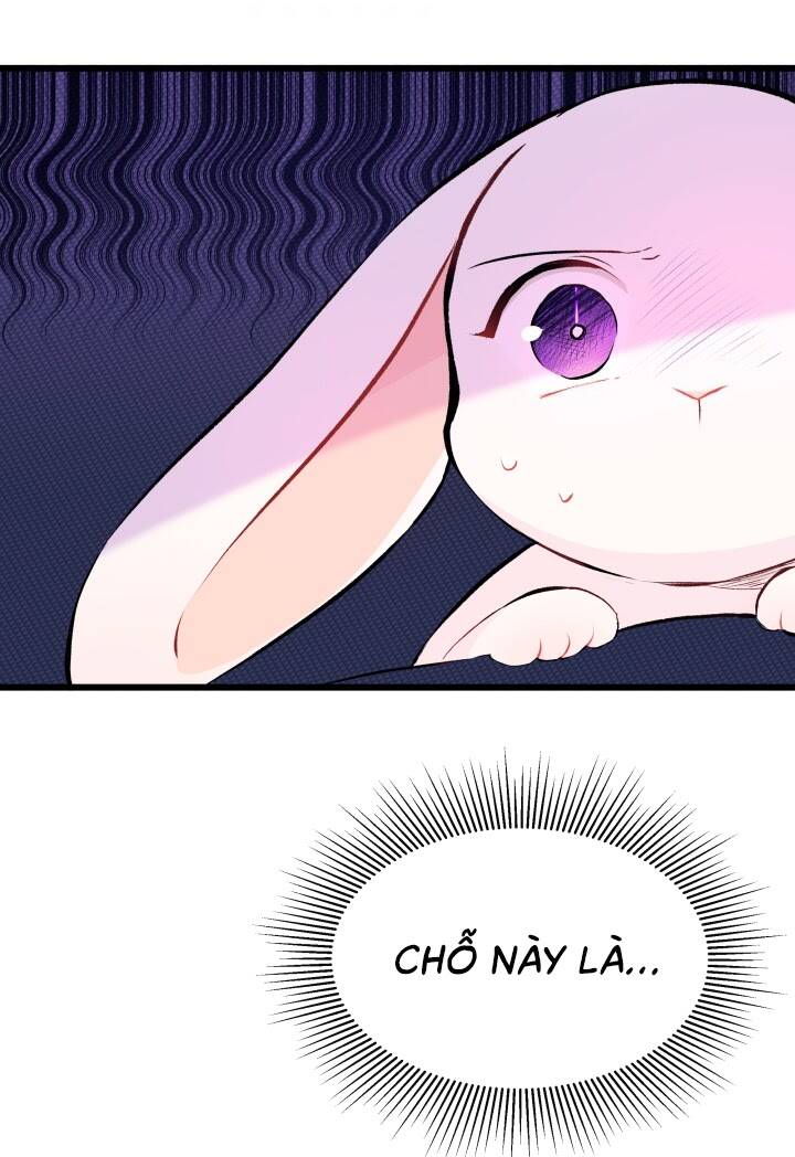 Mối Liên Kết Giữa Báo Đen Và Bé Thỏ Chap 7 - Next Chap 8
