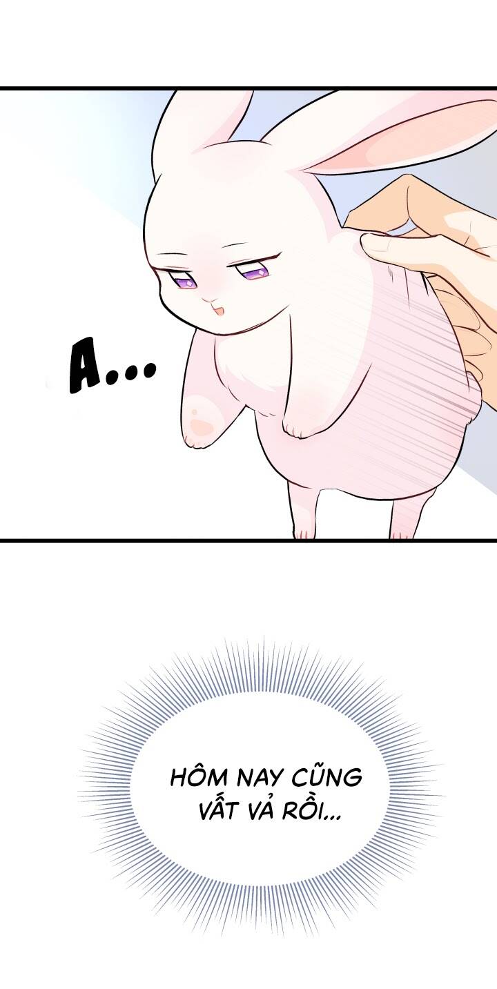 Mối Liên Kết Giữa Báo Đen Và Bé Thỏ Chap 7 - Next Chap 8