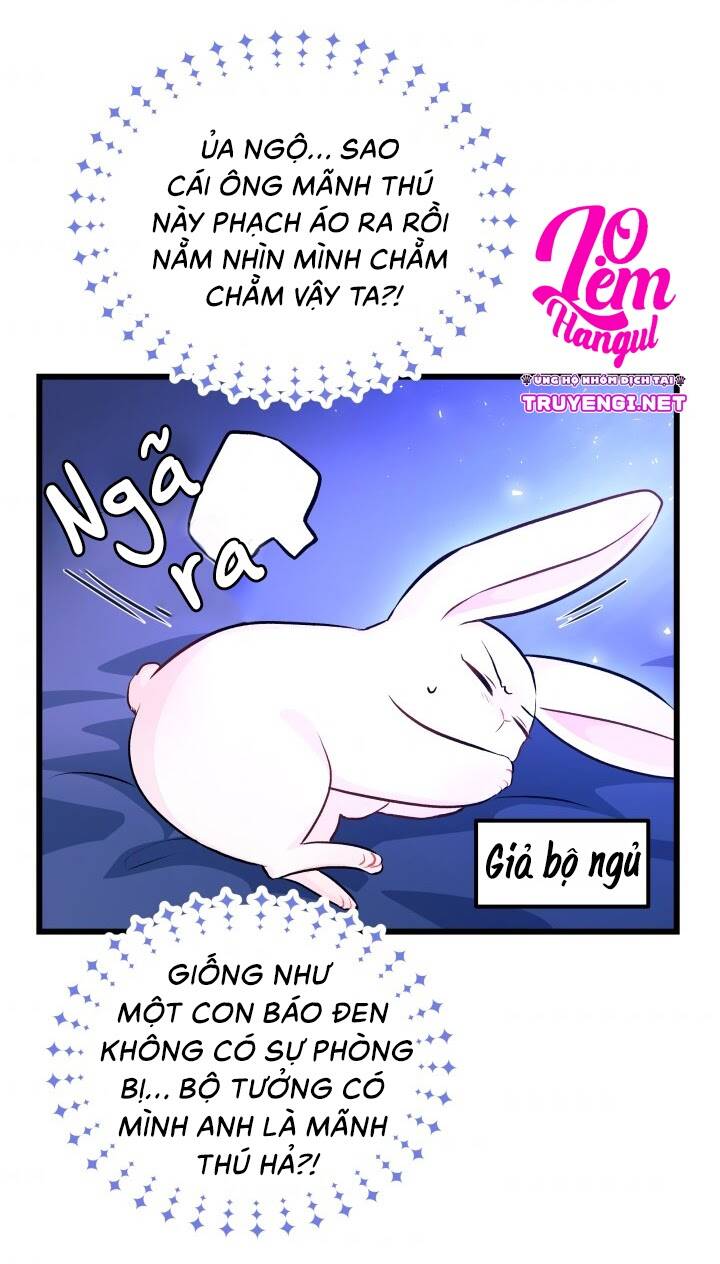 Mối Liên Kết Giữa Báo Đen Và Bé Thỏ Chap 7 - Next Chap 8