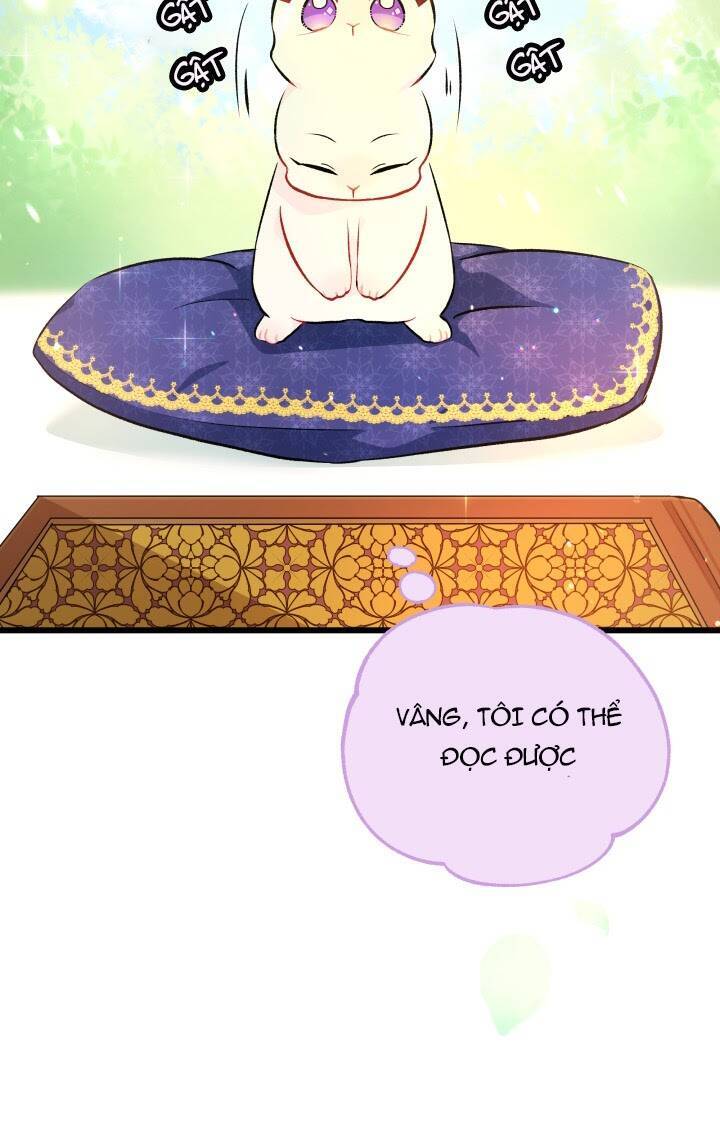 Mối Liên Kết Giữa Báo Đen Và Bé Thỏ Chap 8 - Next Chap 9