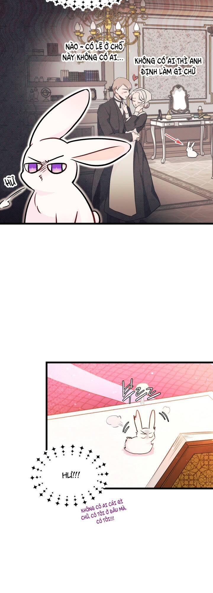 Mối Liên Kết Giữa Báo Đen Và Bé Thỏ Chap 8 - Next Chap 9