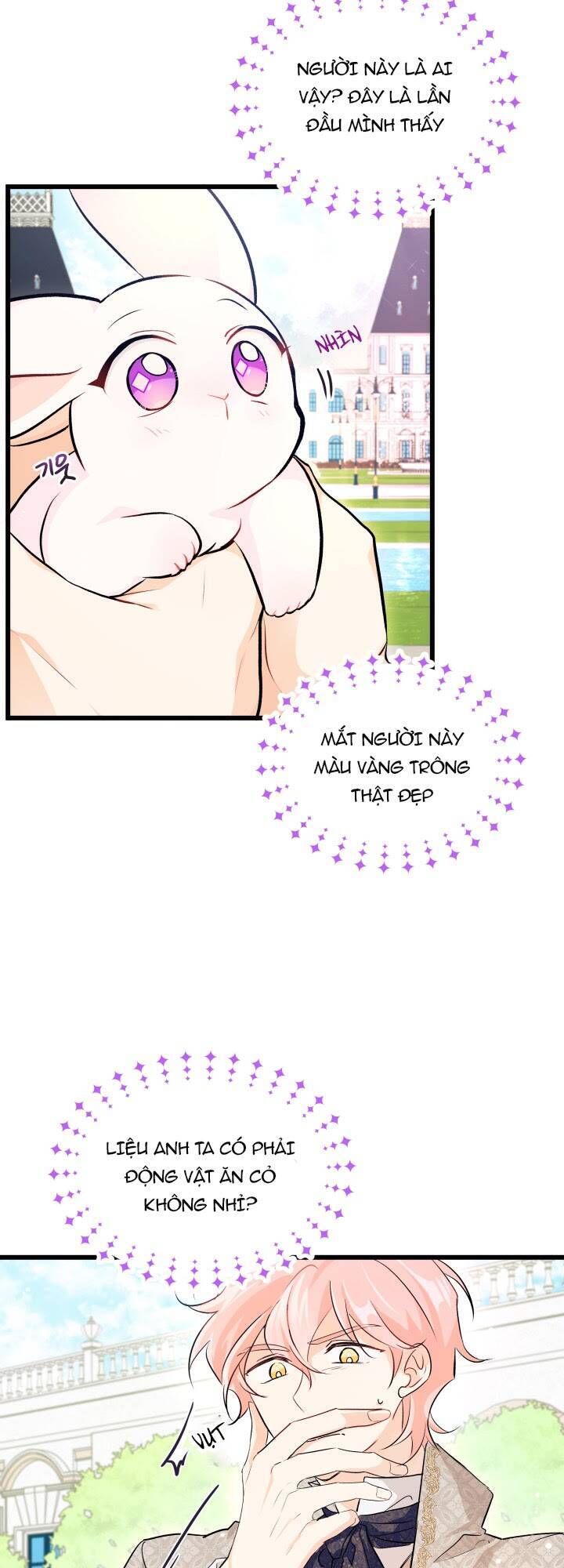 Mối Liên Kết Giữa Báo Đen Và Bé Thỏ Chap 8 - Next Chap 9