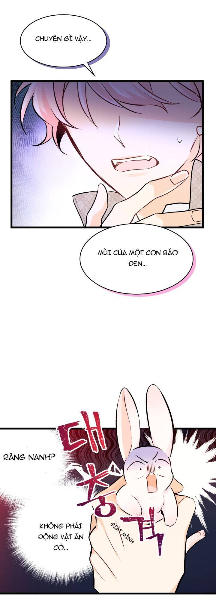 Mối Liên Kết Giữa Báo Đen Và Bé Thỏ Chap 8 - Next Chap 9