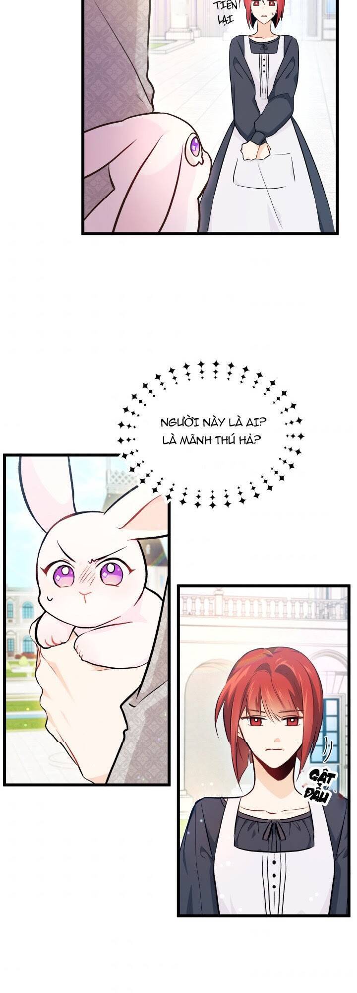 Mối Liên Kết Giữa Báo Đen Và Bé Thỏ Chap 8 - Next Chap 9