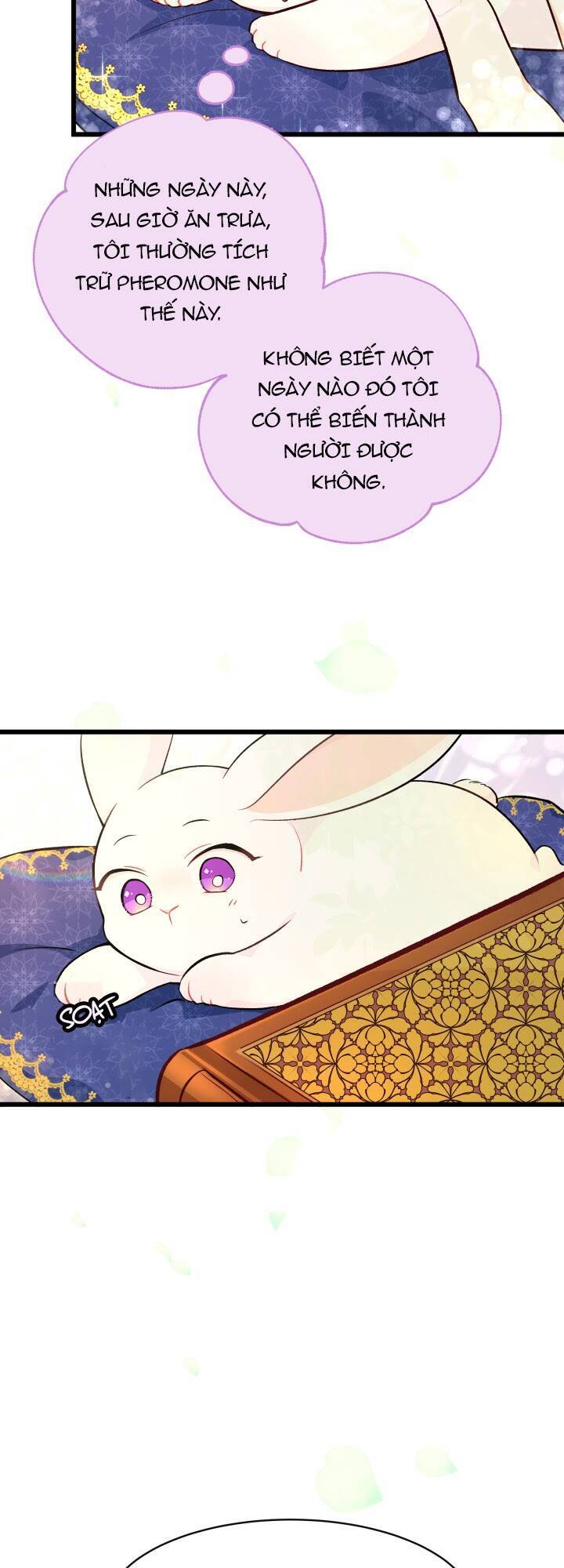 Mối Liên Kết Giữa Báo Đen Và Bé Thỏ Chap 8 - Next Chap 9