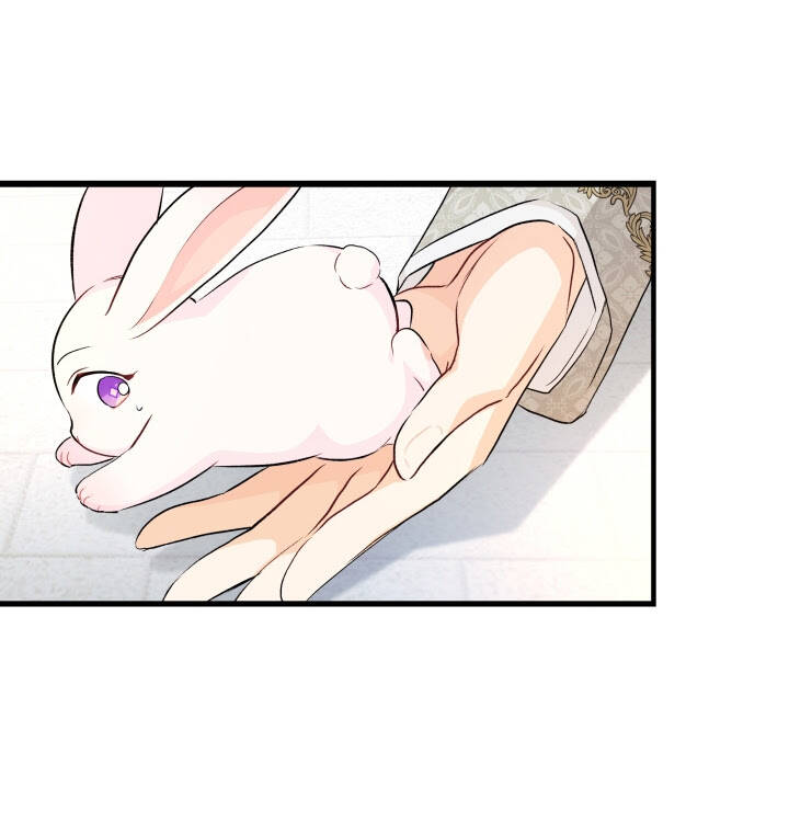 Mối Liên Kết Giữa Báo Đen Và Bé Thỏ Chap 9 - Next Chap 10