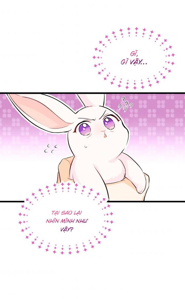 Mối Liên Kết Giữa Báo Đen Và Bé Thỏ Chap 9 - Next Chap 10