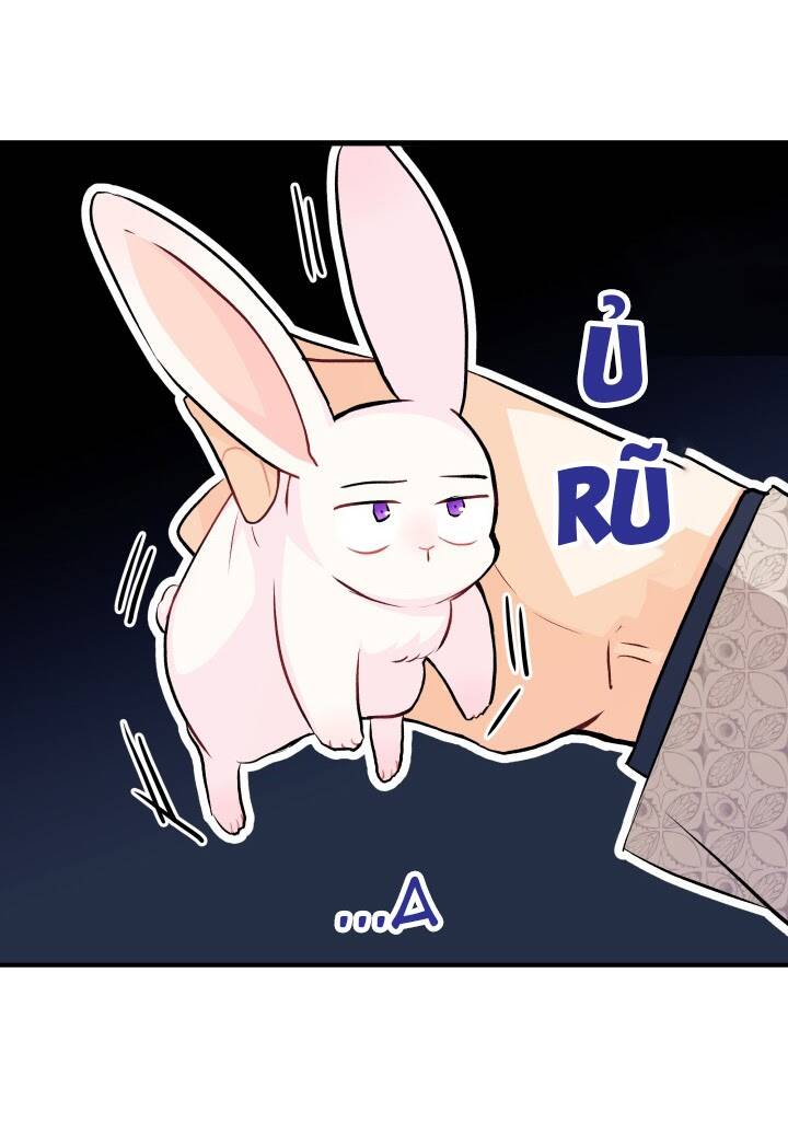 Mối Liên Kết Giữa Báo Đen Và Bé Thỏ Chap 9 - Next Chap 10