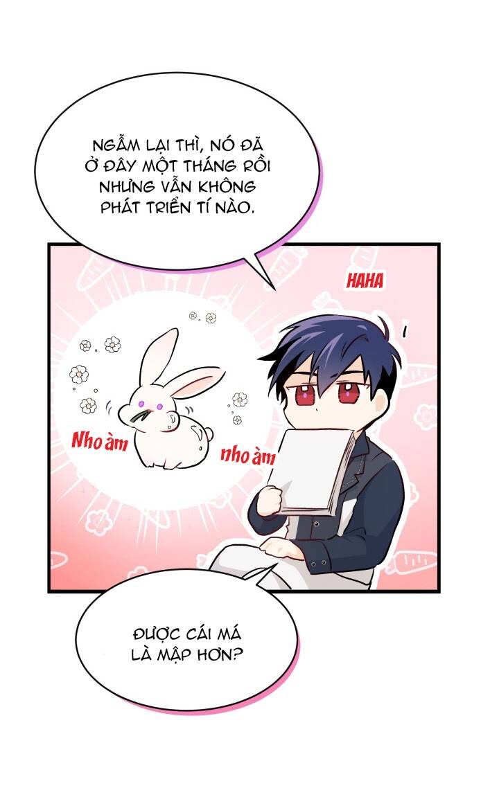 Mối Liên Kết Giữa Báo Đen Và Bé Thỏ Chap 9 - Next Chap 10