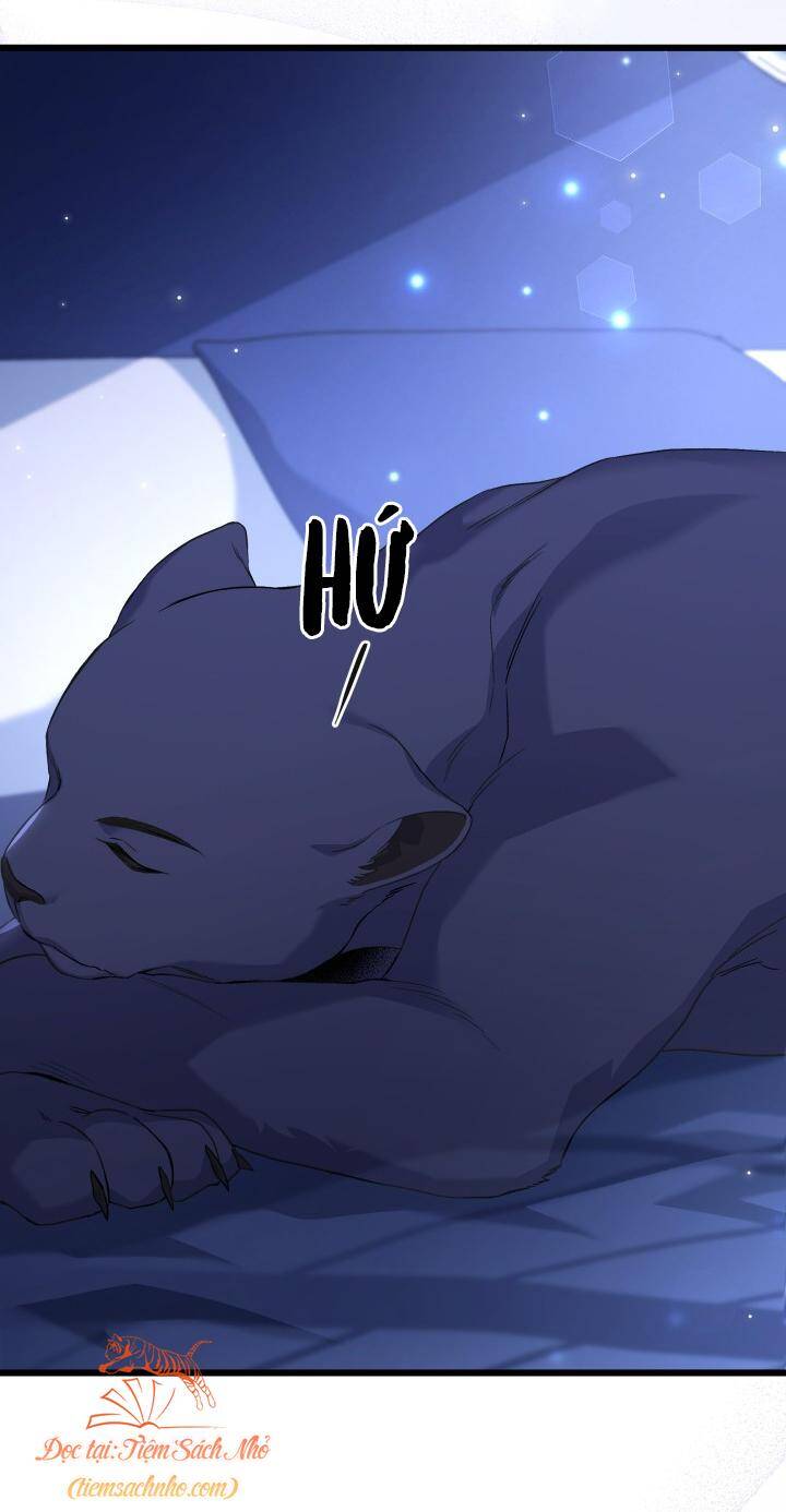 Mối Liên Kết Giữa Báo Đen Và Bé Thỏ Chap 92 - Next Chap 93