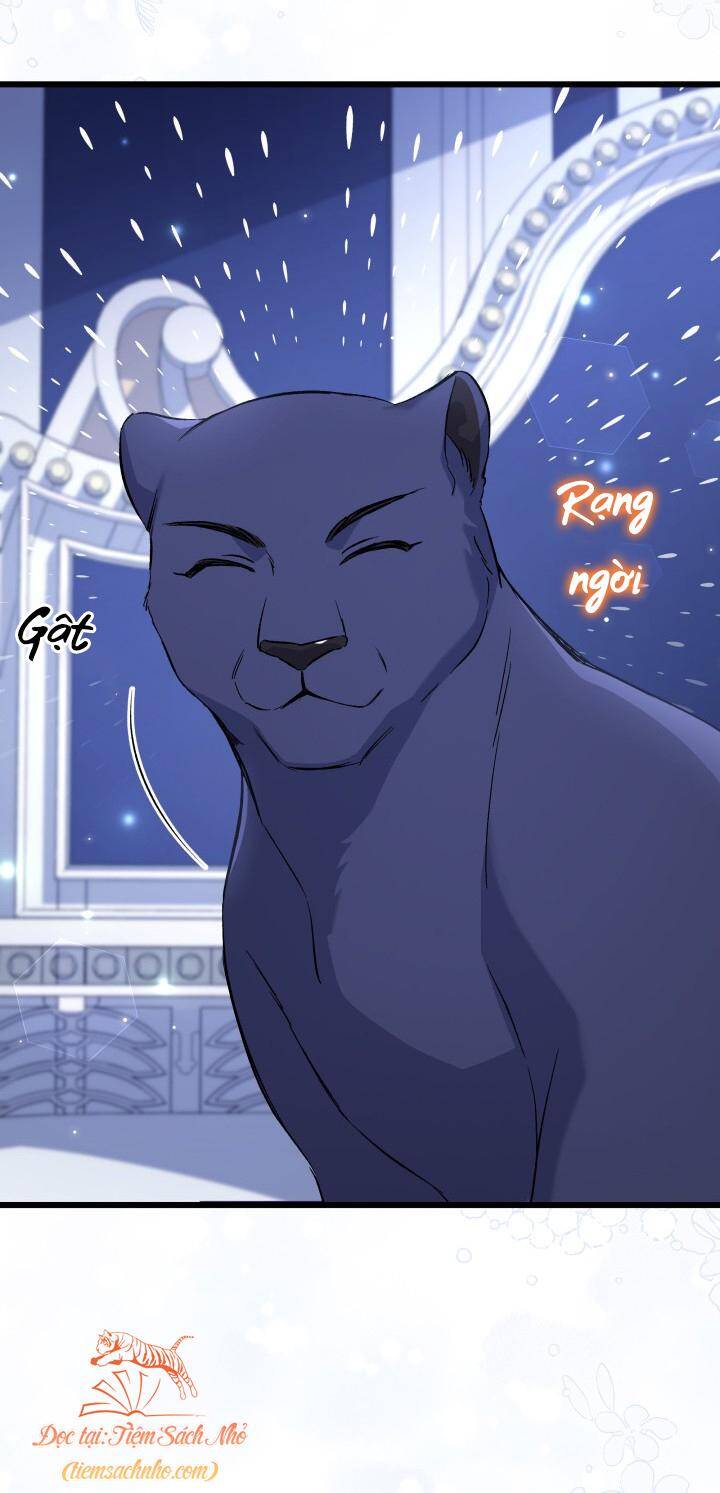 Mối Liên Kết Giữa Báo Đen Và Bé Thỏ Chap 92 - Next Chap 93