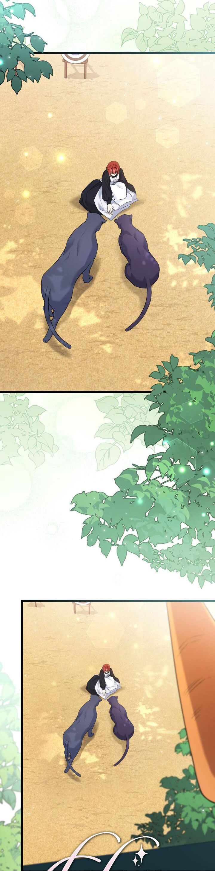 Mối Liên Kết Giữa Báo Đen Và Bé Thỏ Chap 98 - Next Chap 99