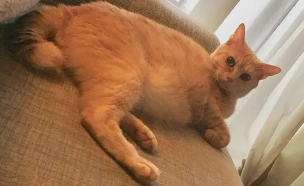 Mối Nguy Trong Trái Tim Tôi Chap 33 - Next Chap 34