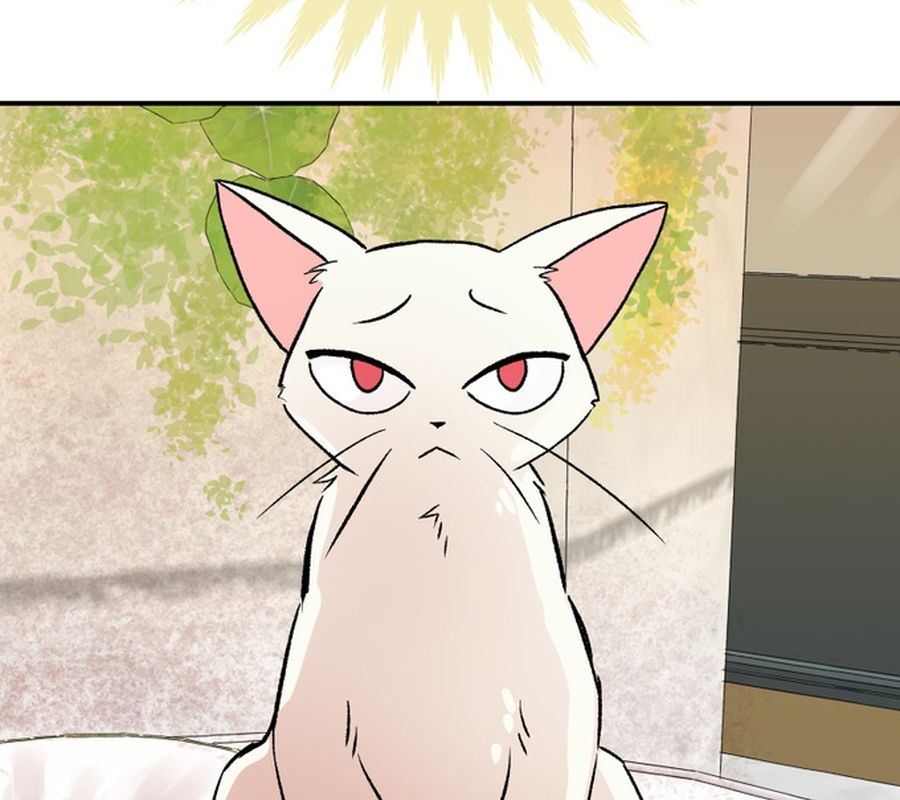 Morgana And Oz Chap 15 - Next Chap 16