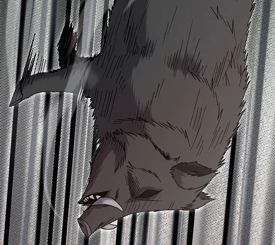 Một Anh Hùng Giỏi Mọi Thứ Chap 68 - Next Chap 69