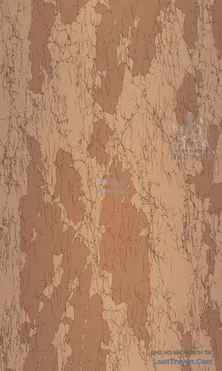 Một Mảnh Thời Gian Chap 14 - Next Chap 15