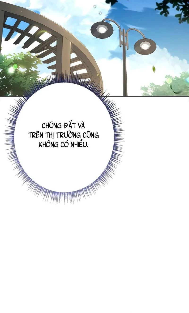 Một Mình Ta Sở Hữu Triệu Hồi Thú Cấp Ex Chap 10 - Next Chap 11