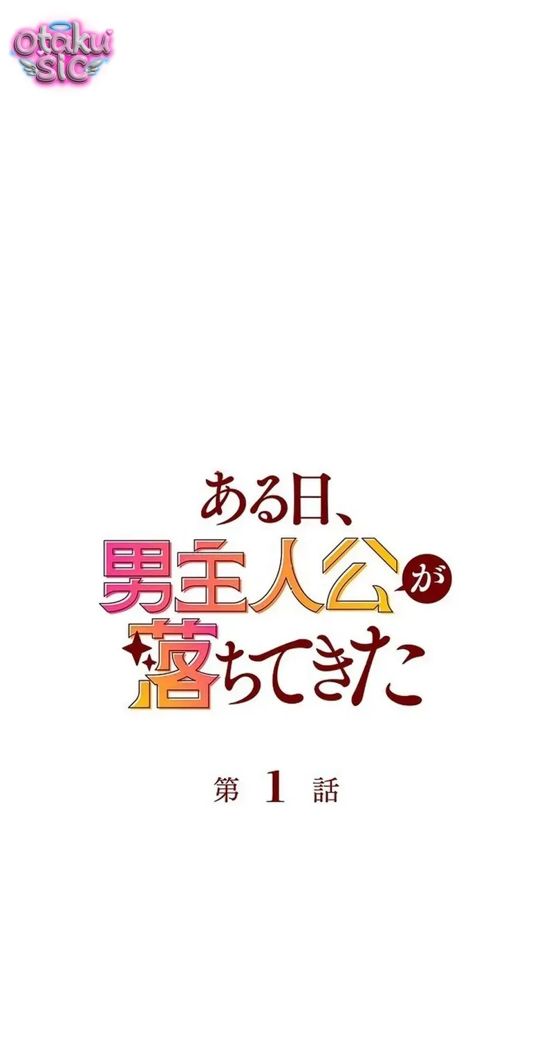 Một Ngày Nọ, Nam Chính Rơi Xuống Nhà Tôi Chap 1 - Next Chap 2