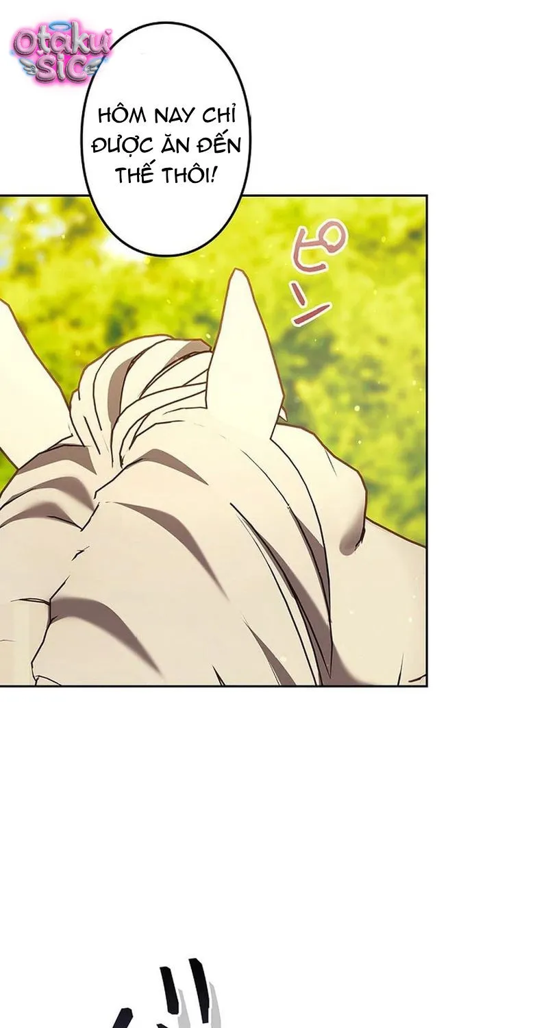 Một Ngày Nọ, Nam Chính Rơi Xuống Nhà Tôi Chap 14 - Next Chap 15